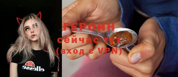 герыч Алексин