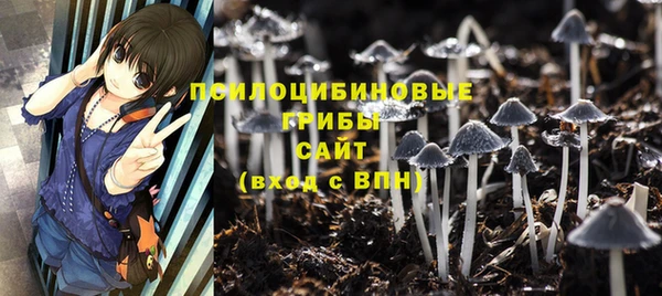герыч Алексин