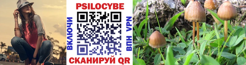 Псилоцибиновые грибы Psilocybe  цены   Нефтекамск 